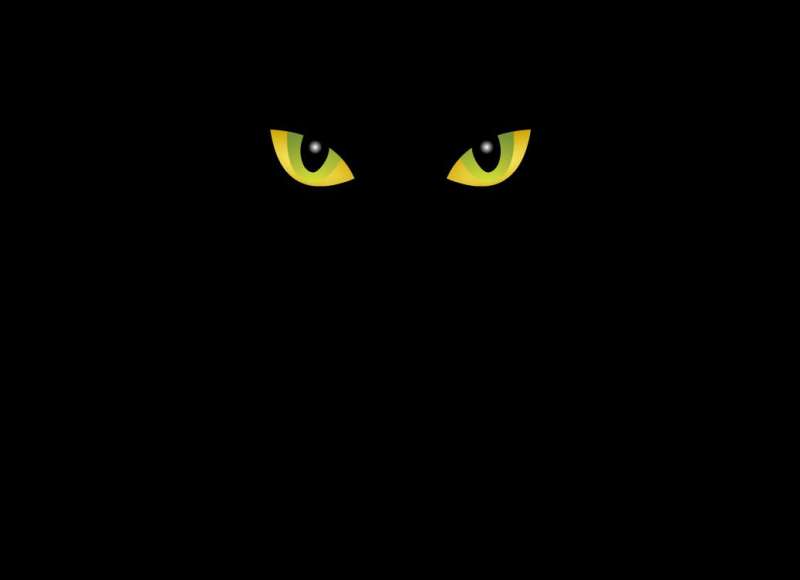 黑夜里猫眨眼睛flash动画素材