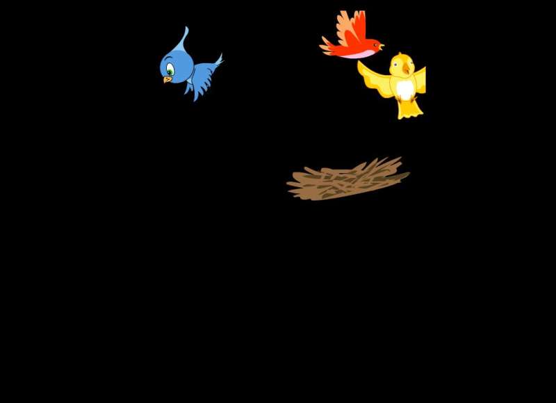 卡通飞翔乌鸦和小鸟flash动画素材