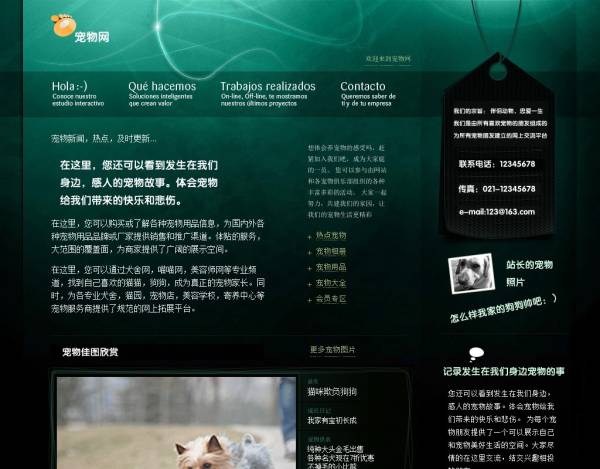 个人宠物网站设计模板html下载