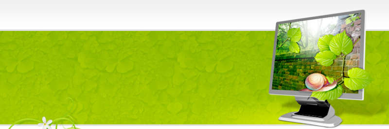 绿色精美的html静态网站模板下载