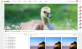 简洁的个人博客摄影网站模板html整站