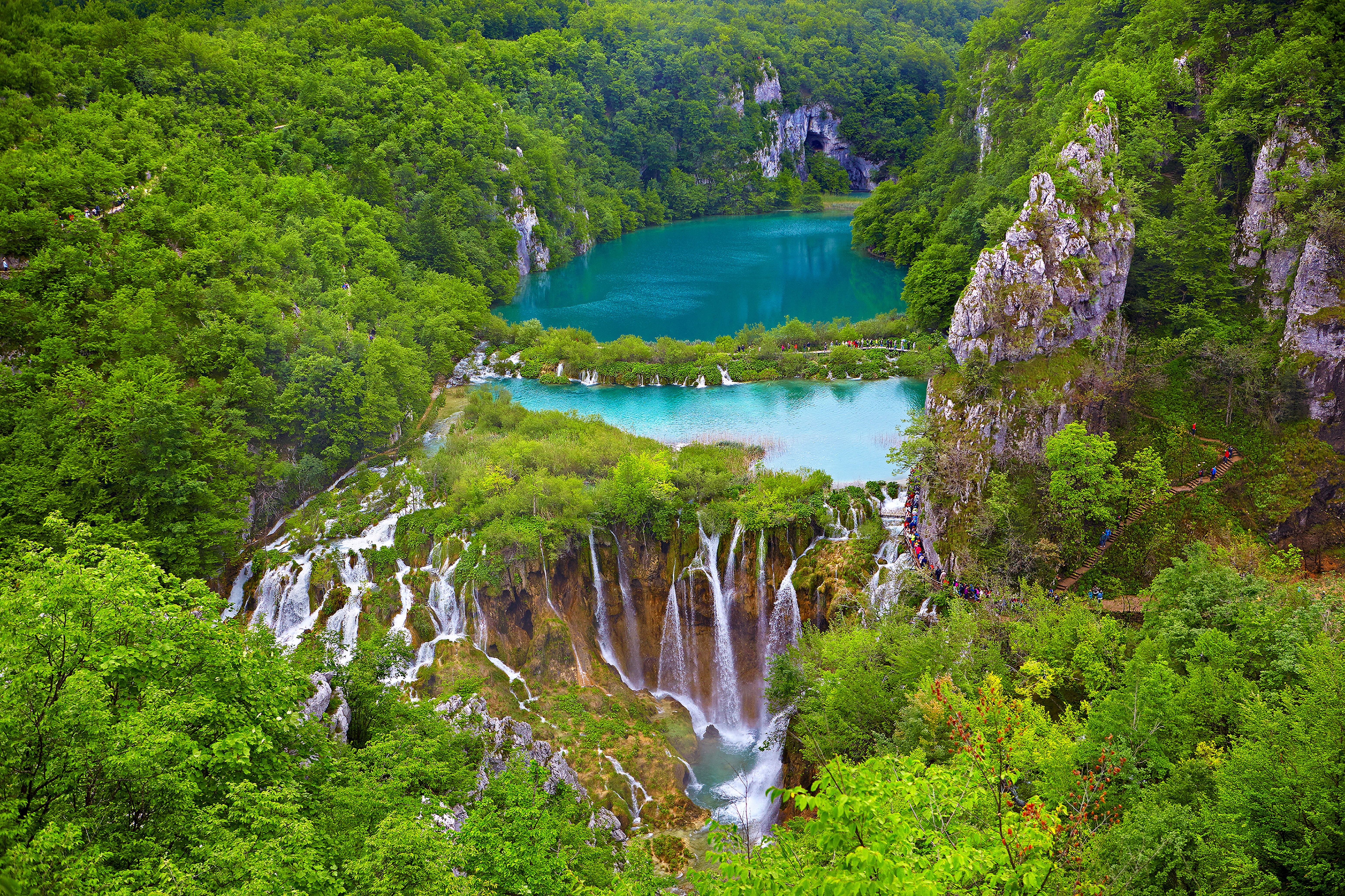 綠油油森林山水風(fēng)景高清圖片素材