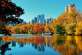 秋天城市公园湖边美景高清图片下载