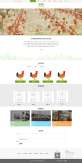 绿色扁平风格的养鸡养殖场企业设计模板