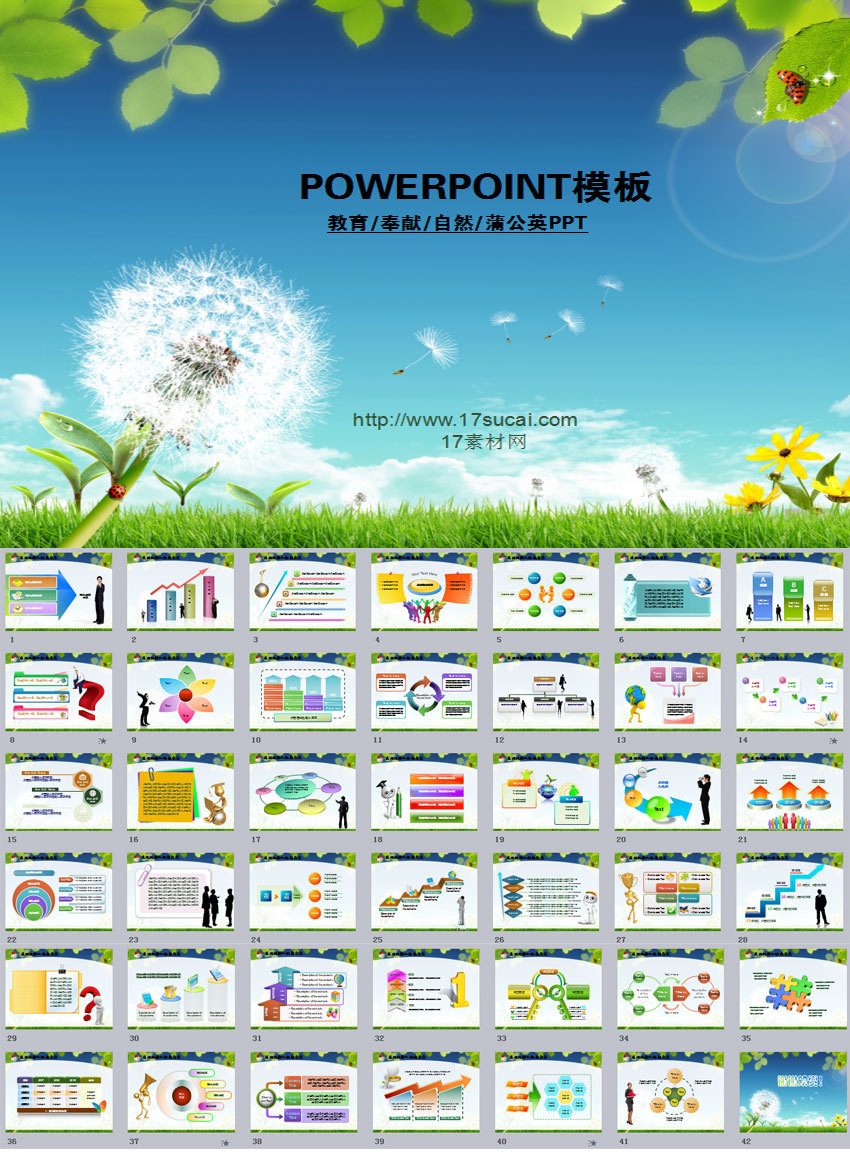 蒲公英背景教育題材PPT通用模板下載