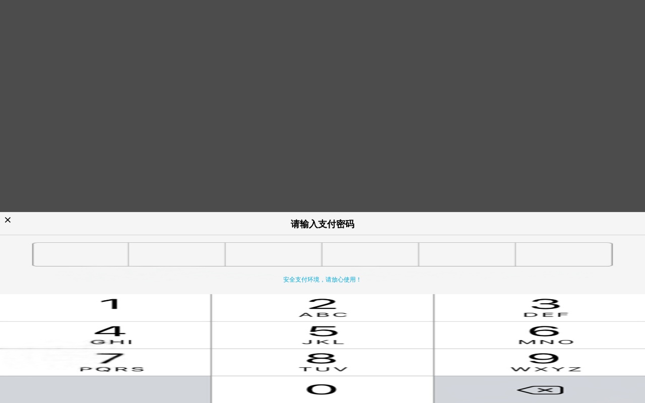 html5仿支付寶手機(jī)支付密碼輸入框特效