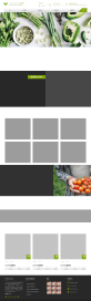 绿色大气的有机蔬菜食品公司网站html模板