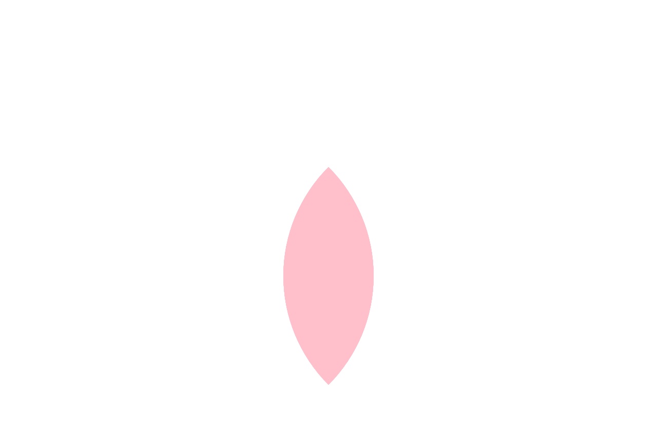 纯css3鼠标经过花朵绽放动画特效