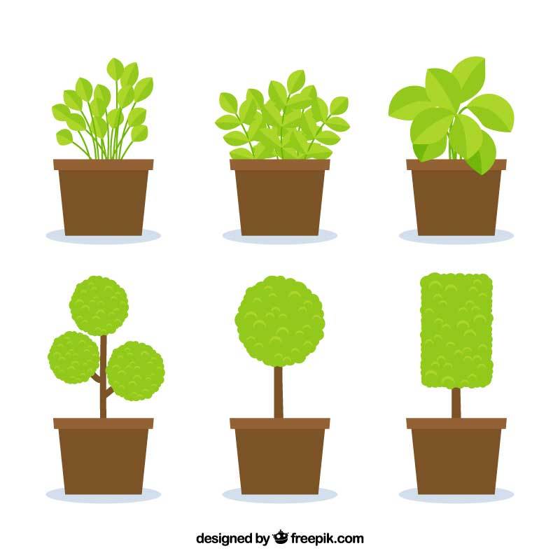 創(chuàng)意綠色植物小盆栽圖標大全AI素材