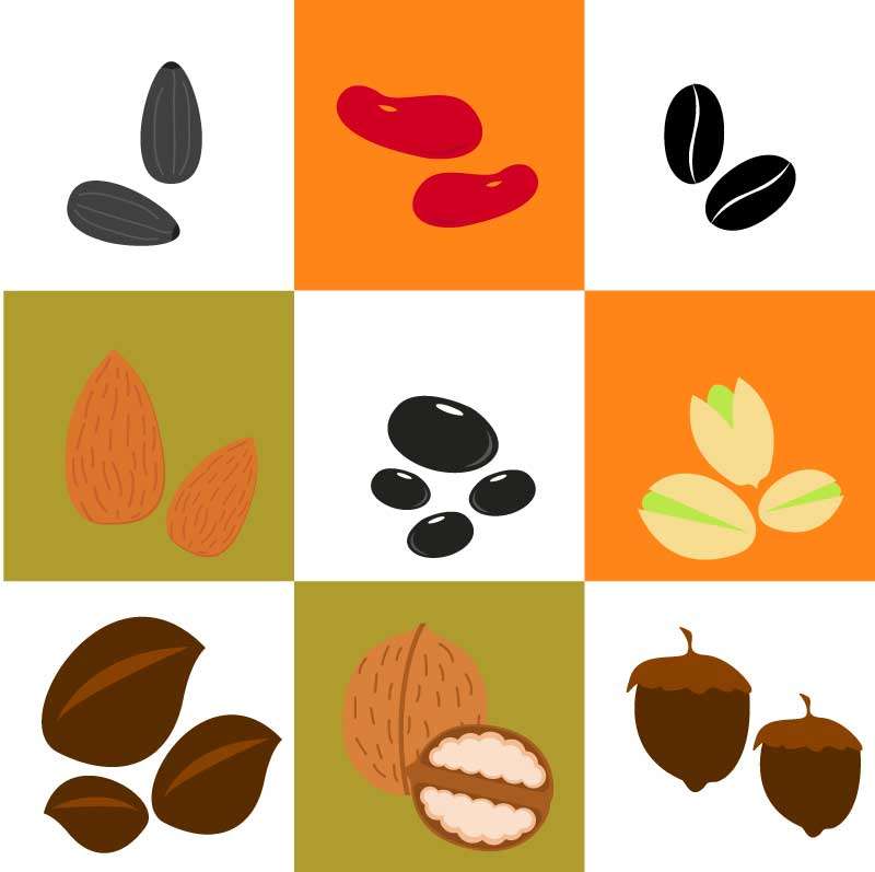 九种扁平化坚果豆类食品图标集素材