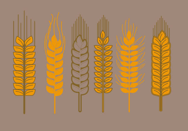 六种黄色稻穗麦穗图标设计素材下载