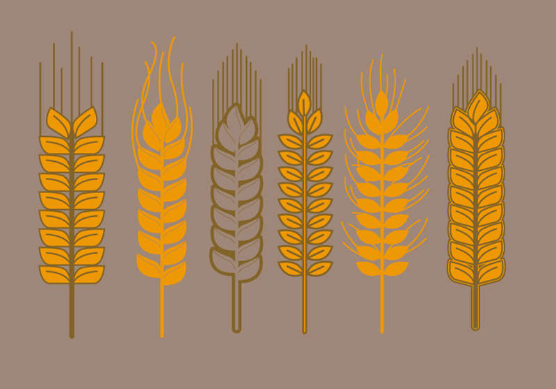 六种黄色稻穗麦穗图标设计素材下载