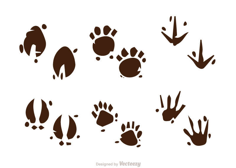个性卡通的动物爪印图标AI素材下载