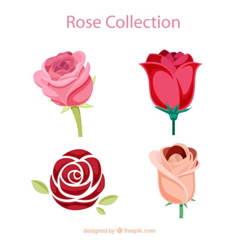 四种美丽动人的卡通玫瑰花图标素材下载