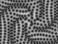 webgl液态螺旋蜂窝背景动画