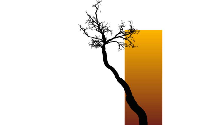 html5 canvas绘制树生长动画特效